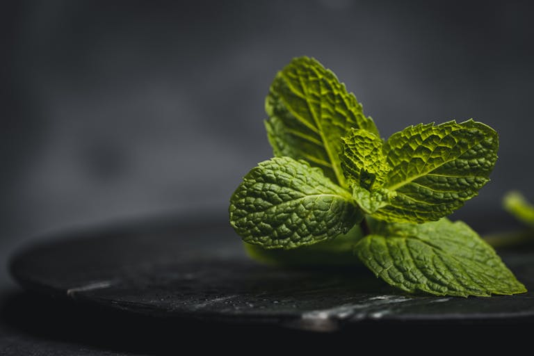 Macro shot of vibrant mint leaves on a dark background, showcasing texture and freshness.